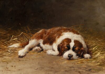 Eerelman Otto – Sleeping St Bernard