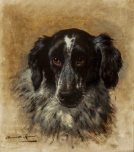 Ronner Knip – Spaniel