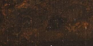 Wouwerman Philips Signature