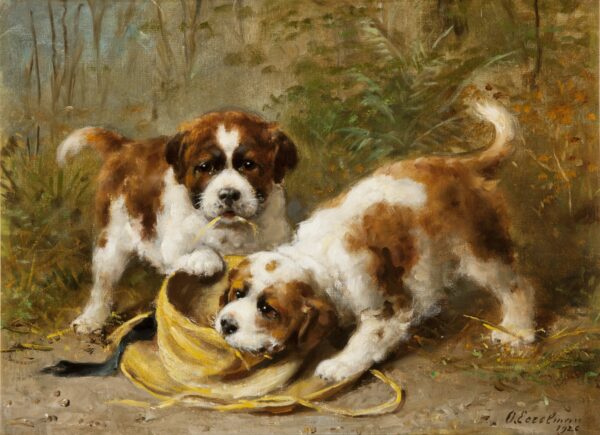 Otto Eerelman - two Saint Bernard puppies